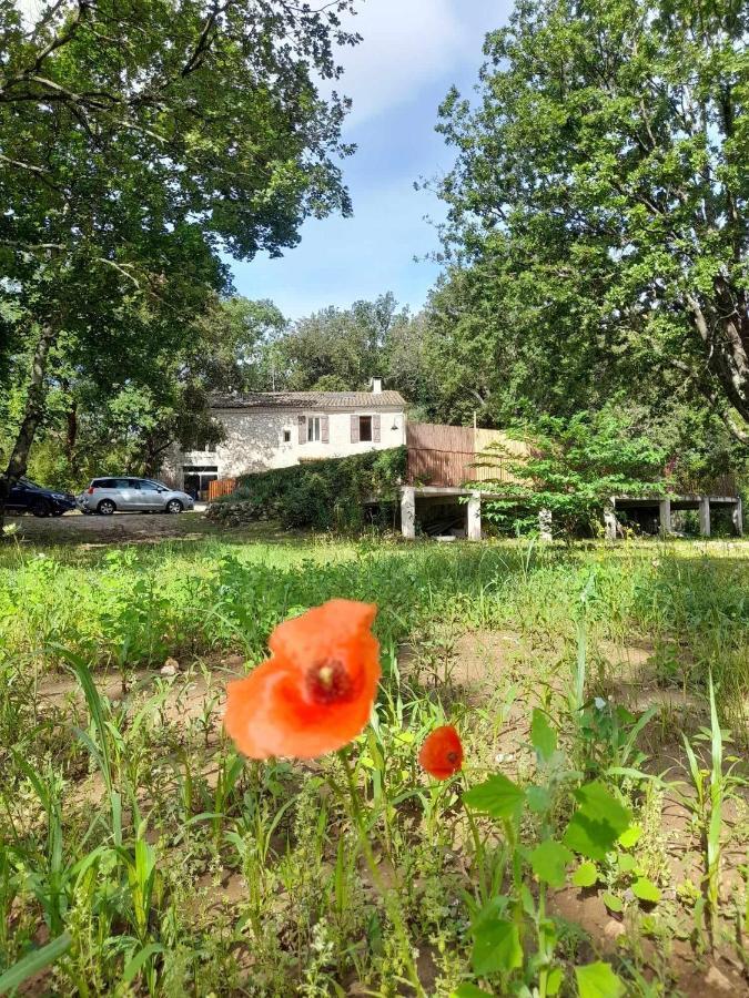 Le Mas Du Coquelicot Dions Extérieur photo